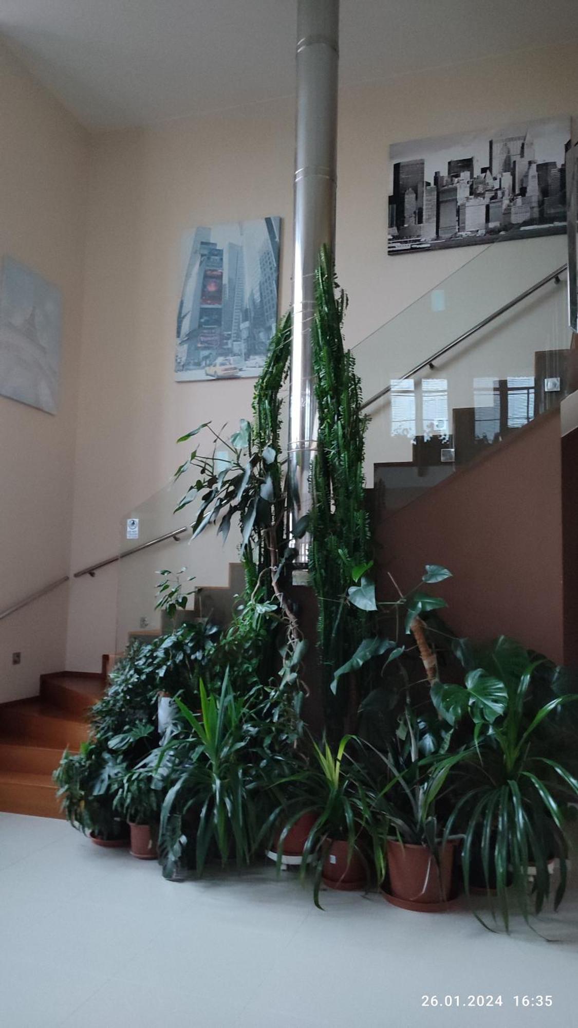 Villa Homestay Nad Helmrovkou Prag Exteriör bild